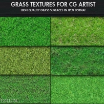 草地/草坪贴图材质合集 CG Artist Grass Textures