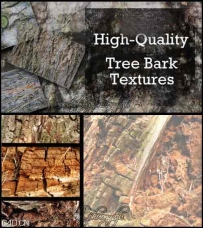 高品质树叶和树皮纹理 HQ Tree & Bark Texture Collection by Cutte