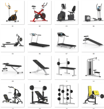 I405 21组运动健身器材模型Gym Equipment